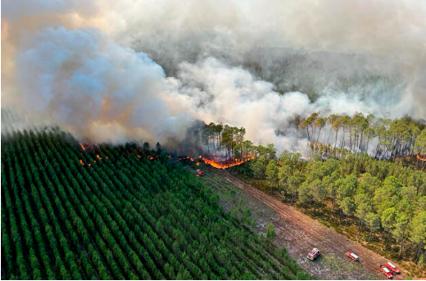 Crédit Le monde, juillet 2022, incendie en Gironde